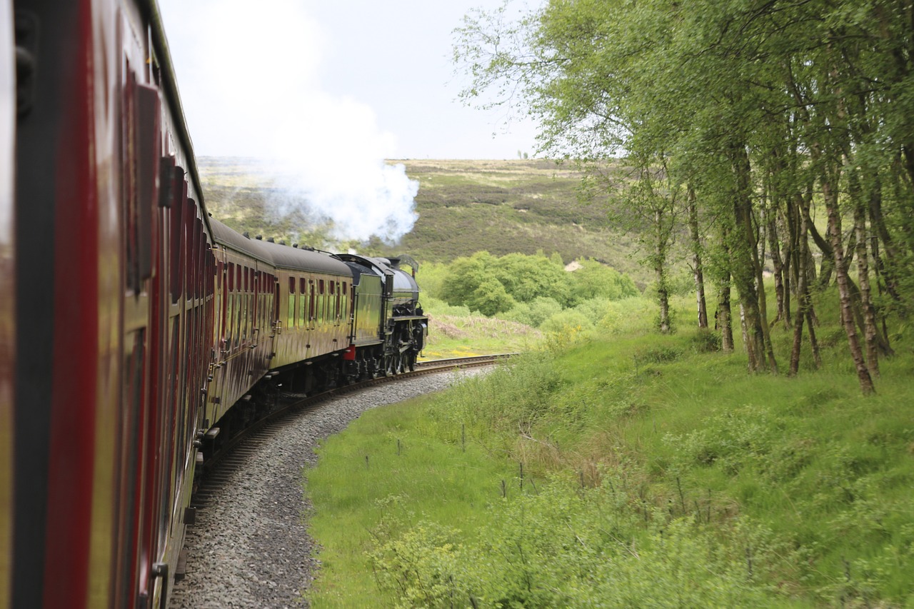 train